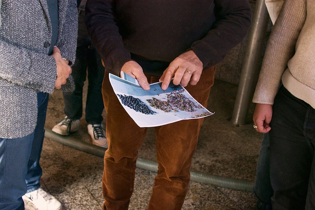 diverse group exploring digital archive